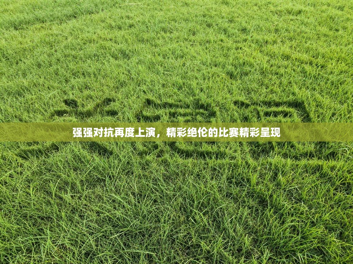 海星体育直播电脑版在线观看-强强对抗再度上演，精彩绝伦的比赛精彩呈现  第3张