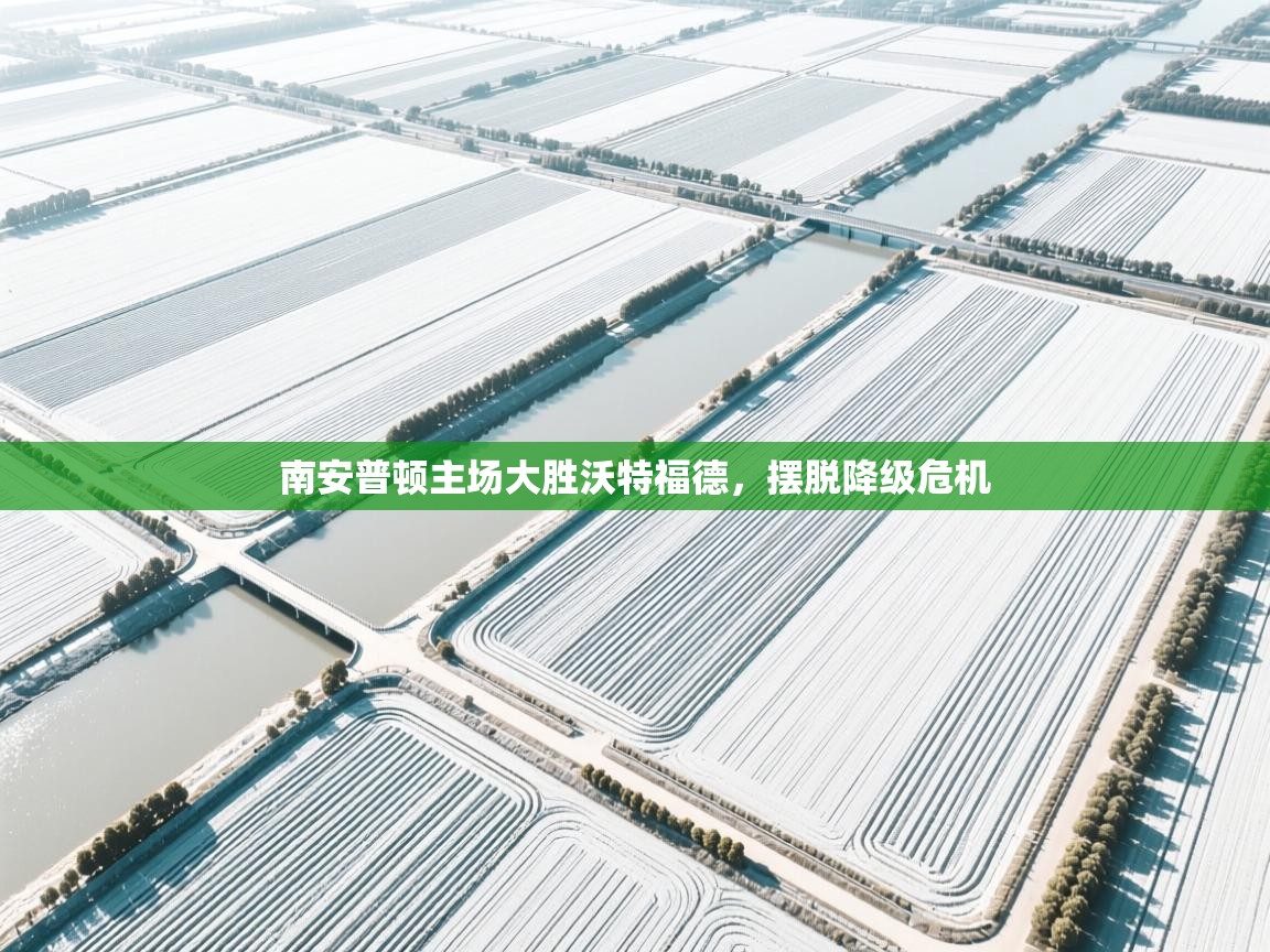 海星体育在线-南安普顿主场大胜沃特福德,摆脱降级危机 第3张