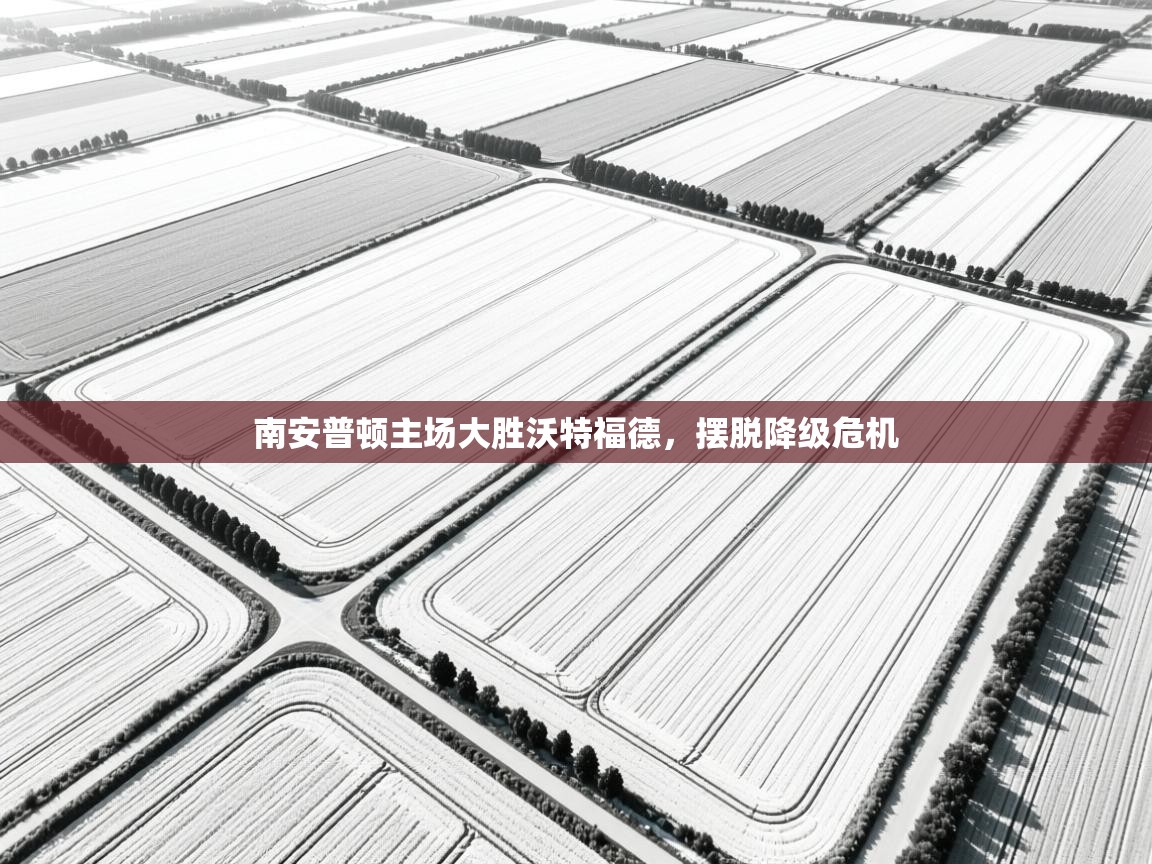 海星体育在线-南安普顿主场大胜沃特福德,摆脱降级危机 第4张