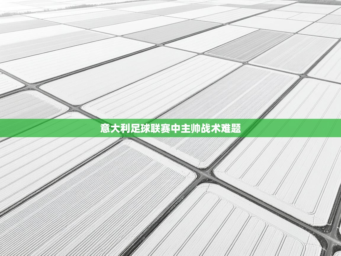 海星体育直播在线观看-高清免费赛事直播平台-海星体育直播-意大利足球联赛中主帅战术难题  第4张