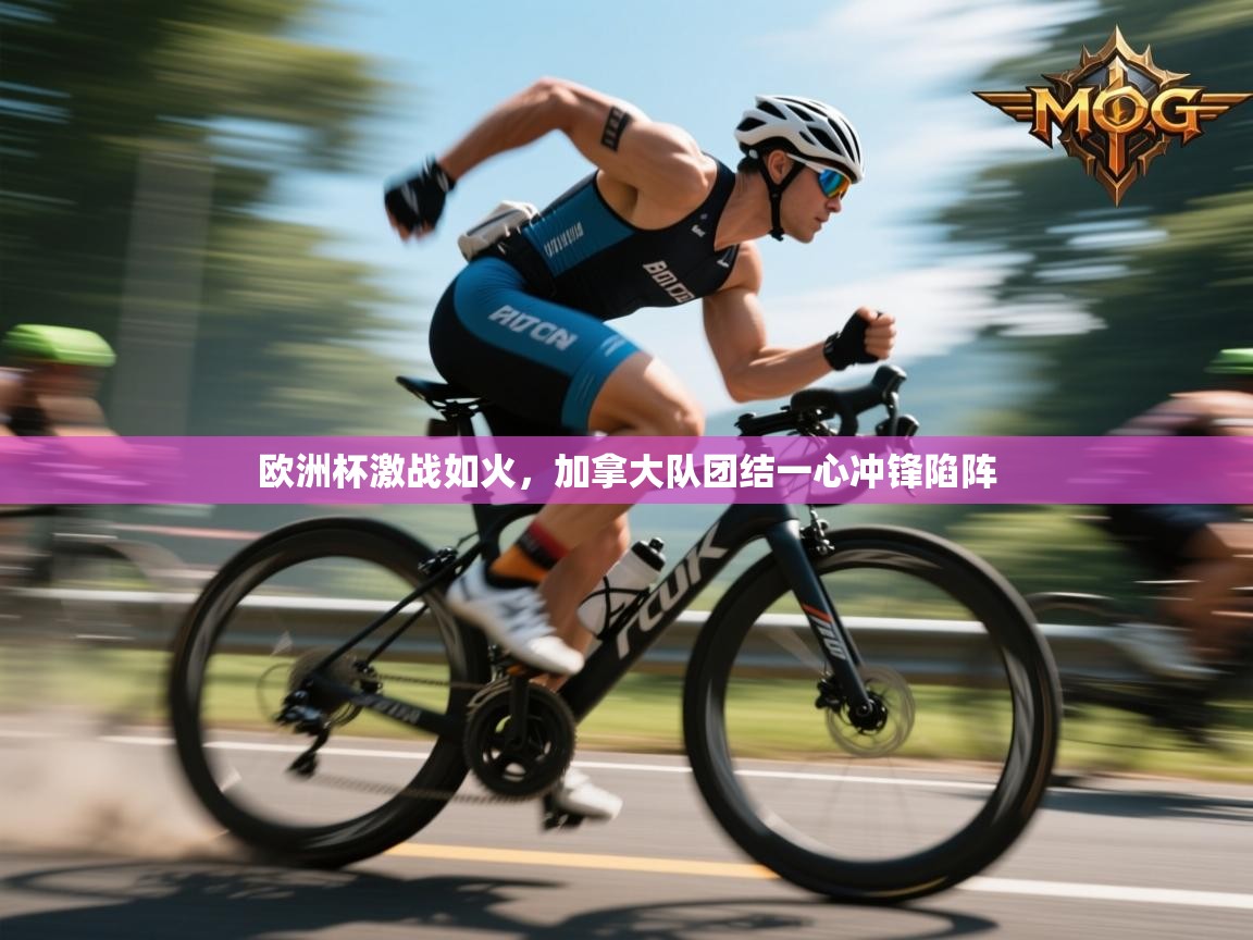 海星体育直播平台官网-欧洲杯激战如火，加拿大队团结一心冲锋陷阵  第2张