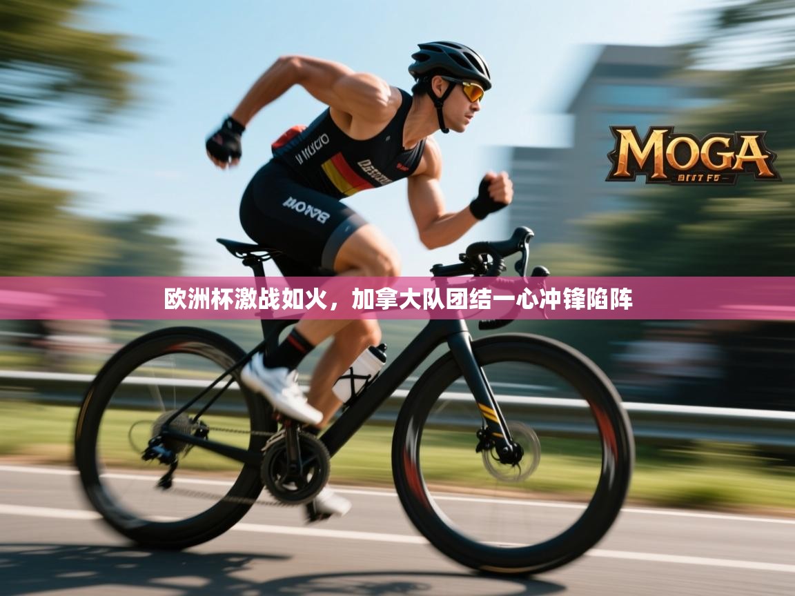 海星体育直播平台官网-欧洲杯激战如火，加拿大队团结一心冲锋陷阵  第3张